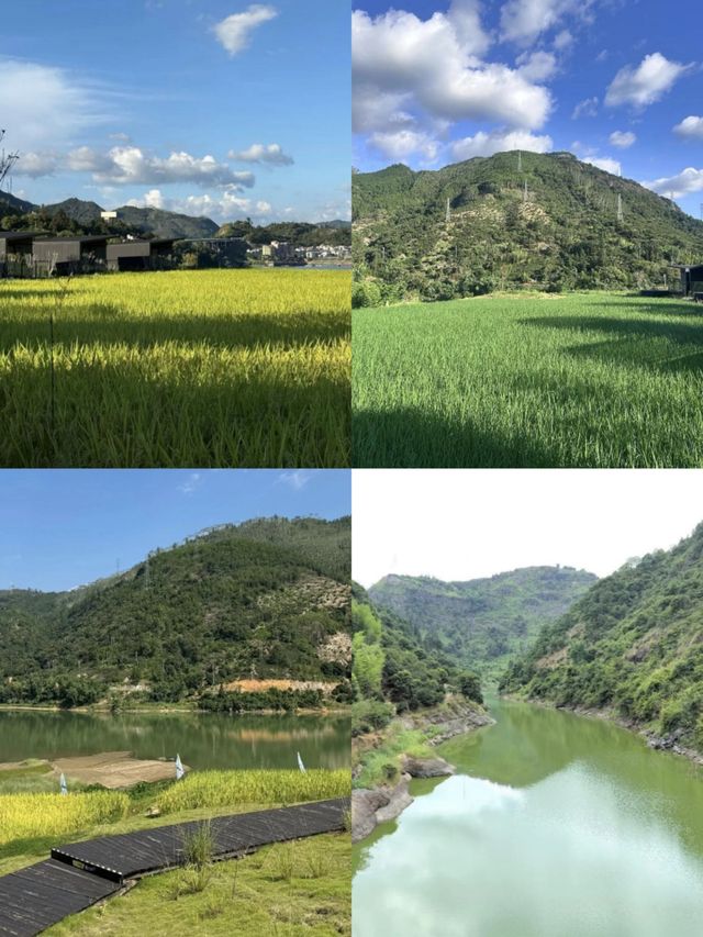 福州周邊驚現稻田隱居天花板！2天躺平計劃啟動！