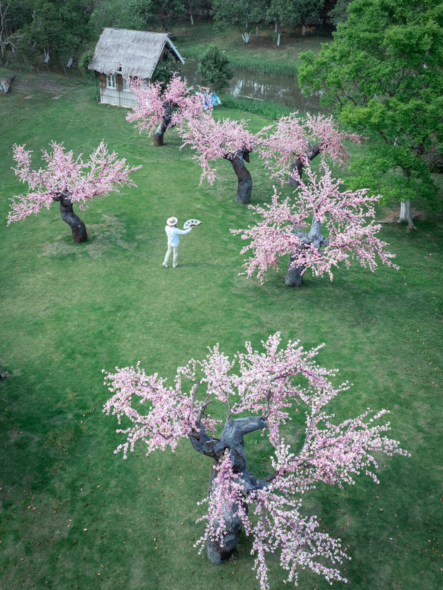 為了《無憂渡》取景地我又衝象山影視城了