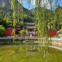 《韶關：嶺南古韻與自然奇觀的完美交融》