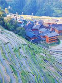 貴州秘境｜加榜梯田2025最新旅行攻略比龍脊更早金黃！