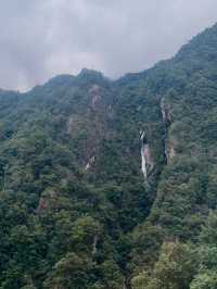 老君山遊玩指南！雲海、紅葉、道教聖地，一鍵解鎖人間天堂！