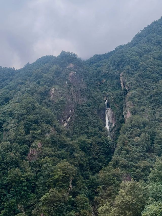 老君山遊玩指南！雲海、紅葉、道教聖地，一鍵解鎖人間天堂！
