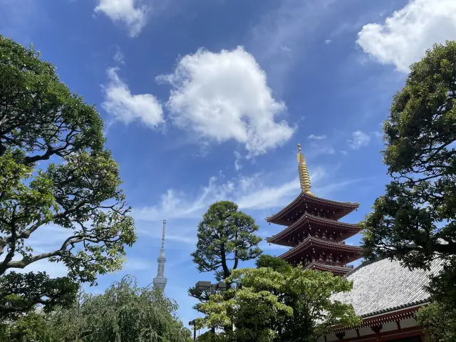 🗼 東京親子旅行｜都市與童趣的完美結合 ✨