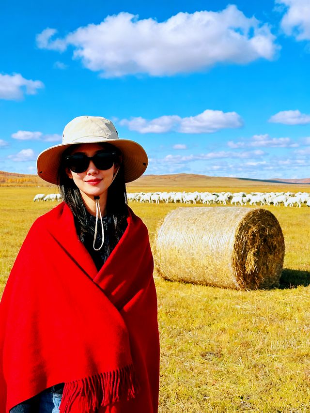 金秋北疆旅行攻略：呼倫貝爾+阿爾山賞秋全指南
