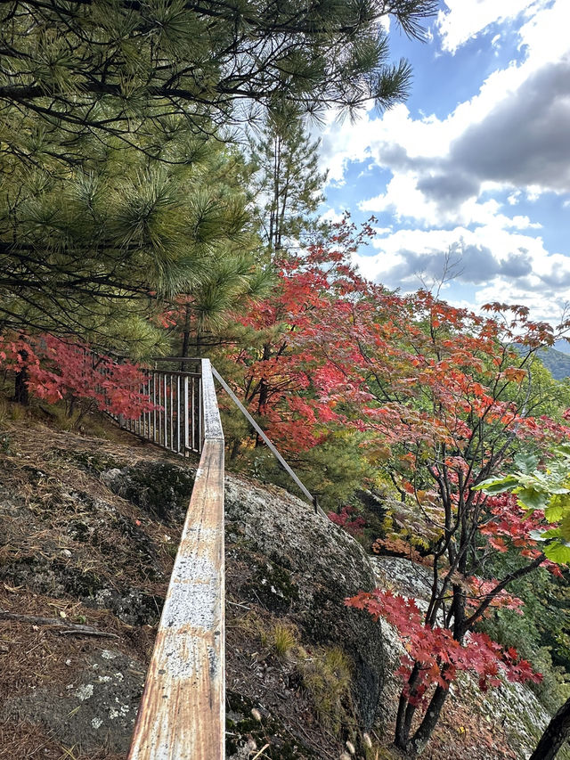 長白山紅石峯生態風景區紅楓染紅了峯頂