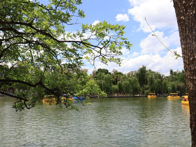 昆明靈魂的後花園——翠湖公園