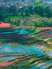 雲南紅河哈尼桑田旅行攻略