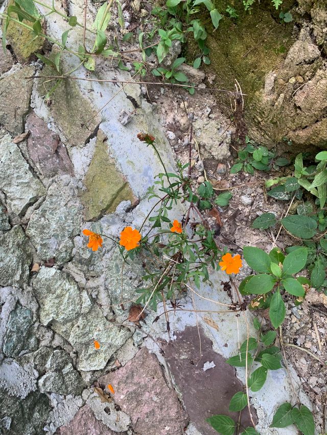 寧波親子徒步/潘岙水庫小環線 寧波親子徒步/潘岙水庫小環線