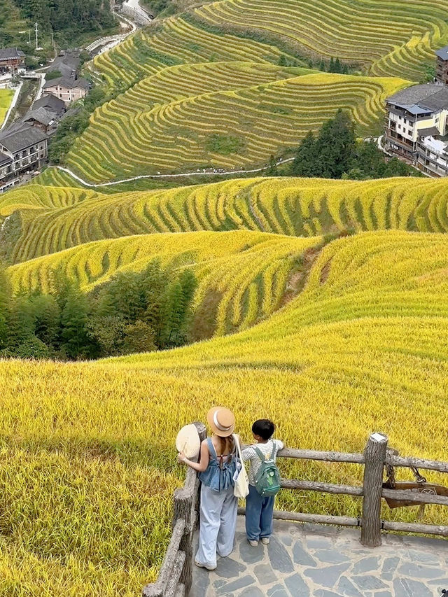 就現在～南方第一波秋色已上線