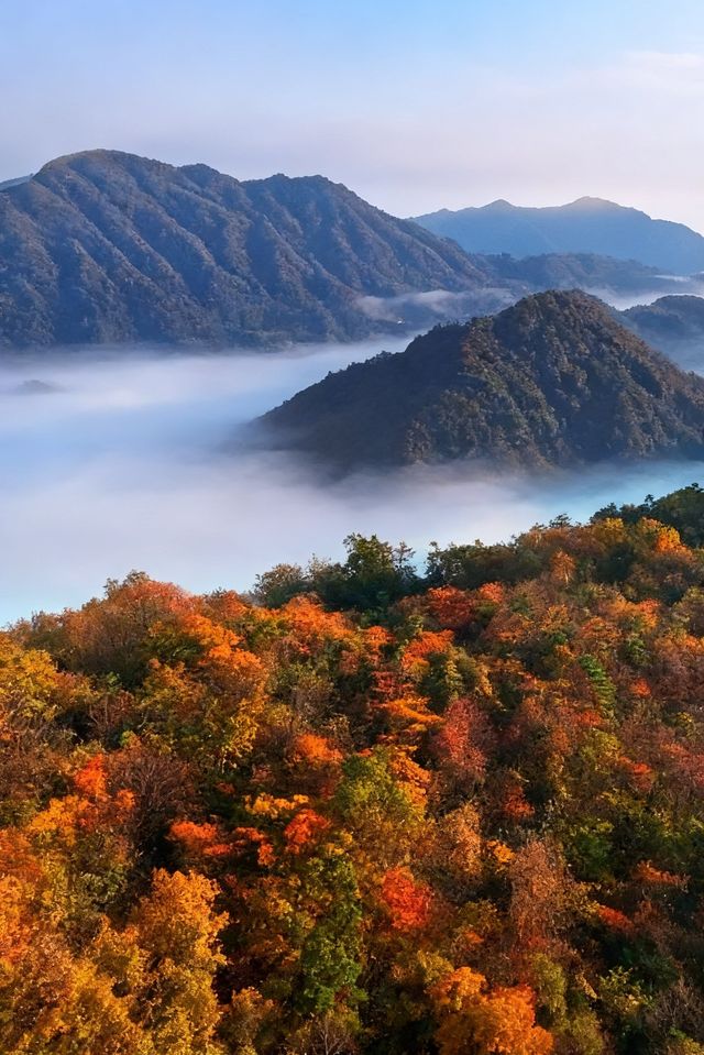 救命光霧山的秋天真的美哭我了