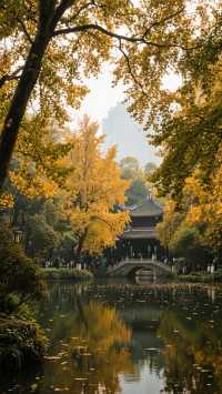 金秋成都三天二晚，旅行攻略。玩出巴適又上頭的秋日慢生活！
