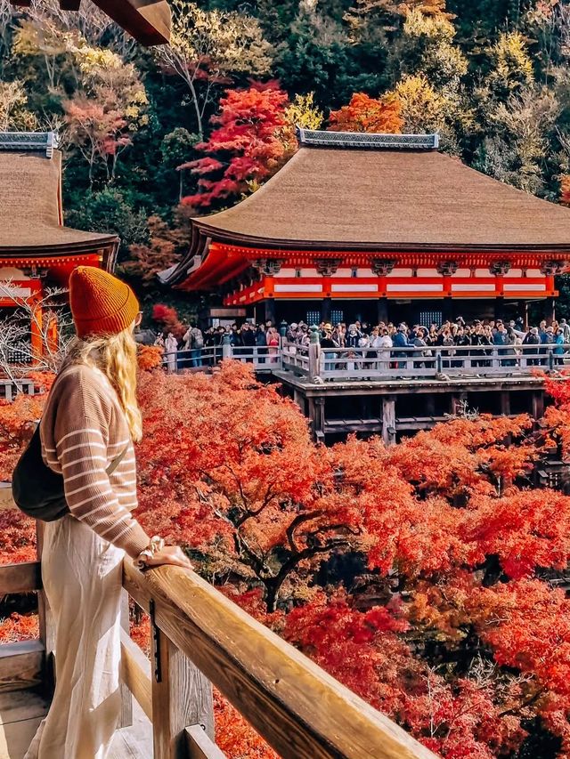 秋日京都物語，紅葉季也太美了