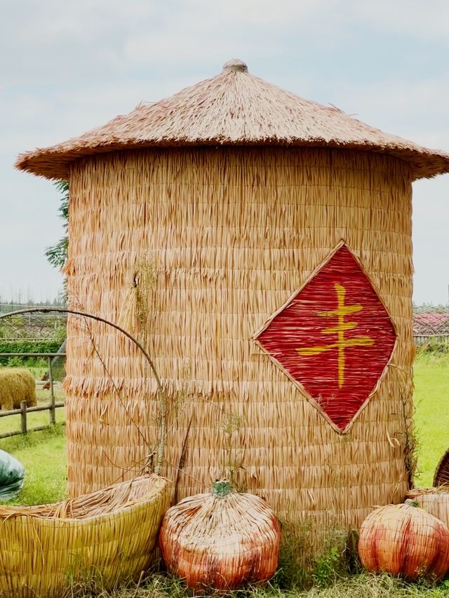 逃離城市！武漢這個小眾村莊的秋日慢生活太治癒了