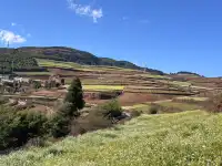 大地的調色板