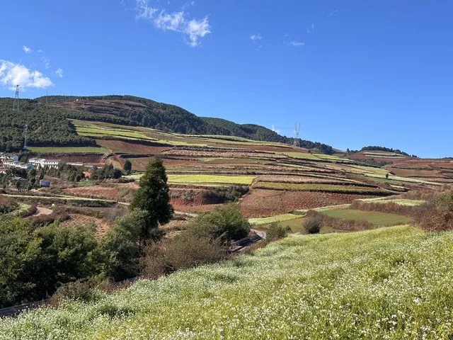 大地的調色板