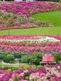 廣州 我宣佈這才是真正的花城!