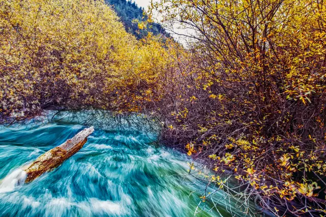 6-Day Comprehensive Chengdu and Surroundings Travel Guide is here