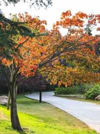 崂山北九水一日遊！保姆級路線收好