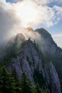 秦嶺秘境｜留壩秋色盛宴來襲！千年銀杏驚艷打卡