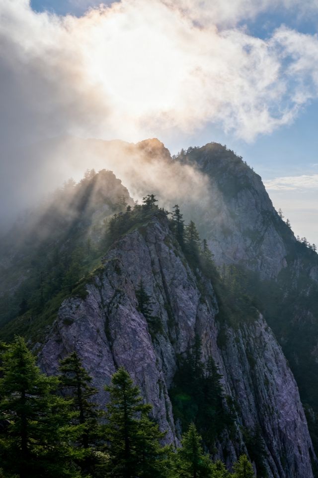 秦嶺秘境｜留壩秋色盛宴來襲！千年銀杏驚艷打卡