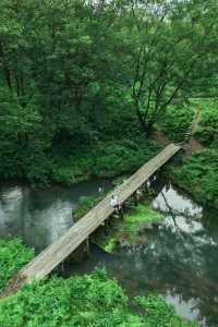 迄今去過最鬆弛的江浙滬小城，奈何不火