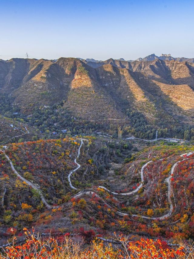 秋遊淄博-濟南-泰安攻略存下超有用