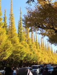 邯鄲賞秋必去地！磁縣天保寨的紅葉讓你美哭