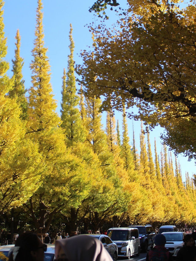 邯鄲賞秋必去地！磁縣天保寨的紅葉讓你美哭