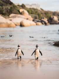 玩轉澳新12日保姆級攻略呈上