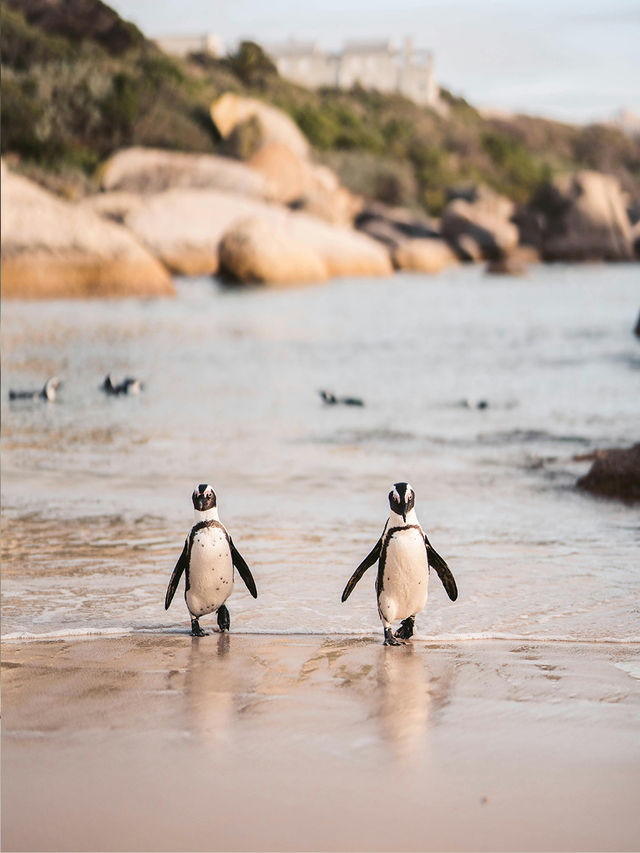 玩轉澳新12日保姆級攻略呈上