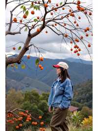 快來打卡！溫州神秘東爐村