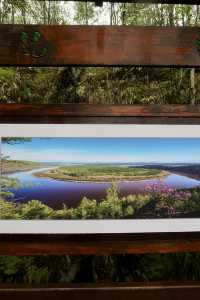 幸運地摸到了花栗鼠，毛茸茸的