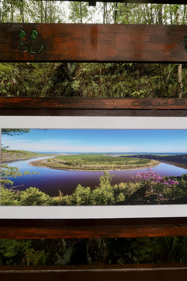 幸運地摸到了花栗鼠，毛茸茸的