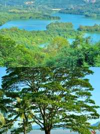 深圳免費打卡天花板！16個山海秘境拍爆朋友圈