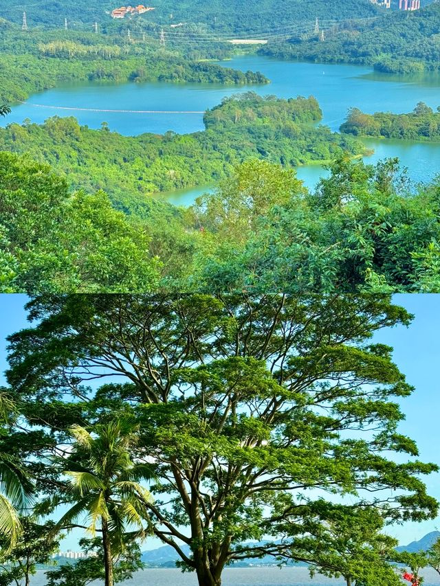 深圳免費打卡天花板！16個山海秘境拍爆朋友圈