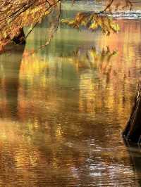 燕雀湖+明孝陵隱藏路線！99%人不知道的絕美秘境