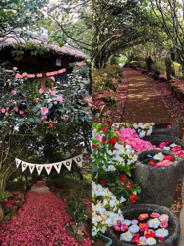 濟州島旅遊|懶人版路線攻略來了! 濟州島旅遊|懶人版路線攻略來了!