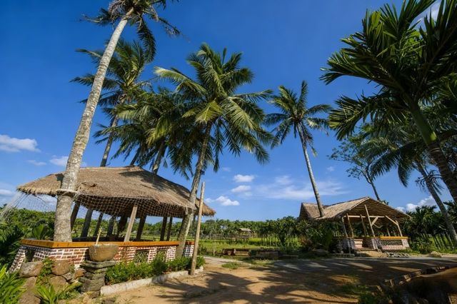 瓊海,不止有博鰲!這份慢遊攻略帶你解鎖「海南味」最濃的小城 瓊海,不止有博鰲!這份慢遊攻略帶你解鎖「海南味」最濃的小城