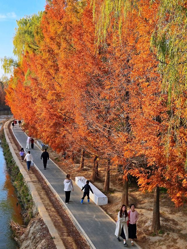 “塞納河”畔曬太陽 “塞納河”畔曬太陽