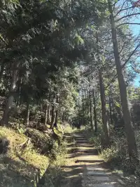 四明山十字褲徒步 上海-餘姚