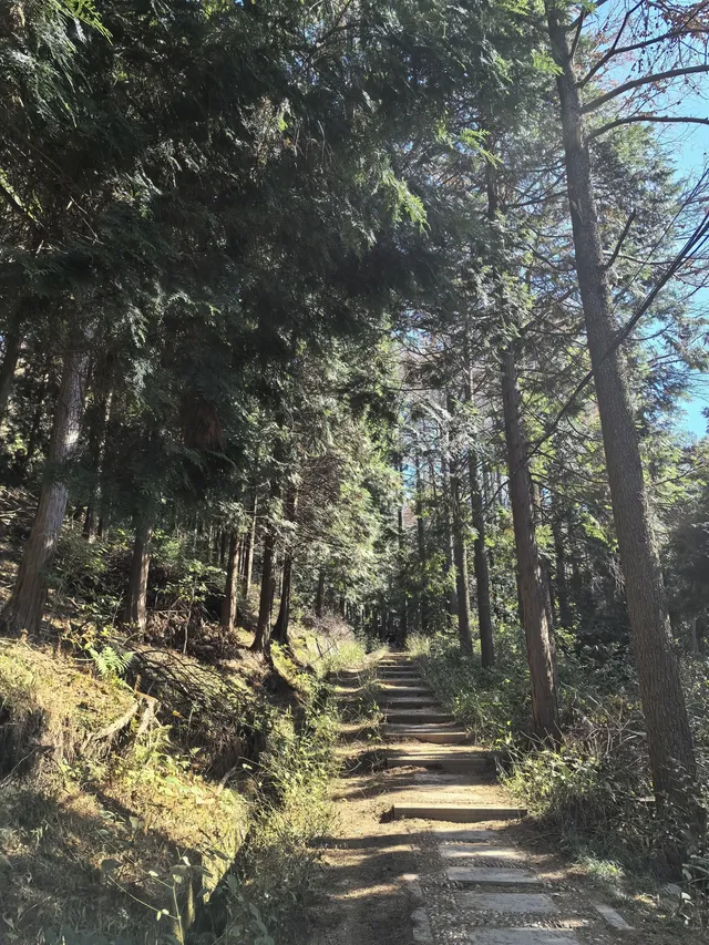 四明山十字褲徒步 上海-餘姚