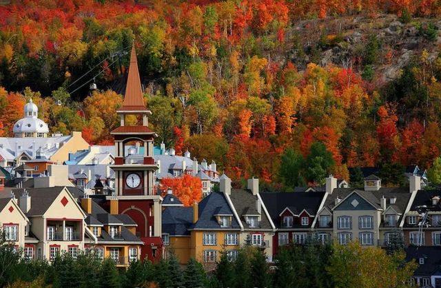 一次玩透加拿大!東西岸+無購物真香 一次玩透加拿大!東西岸+無購物真香