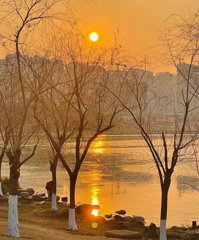 長沙迎來封神的秋天，這些地方真的超美！