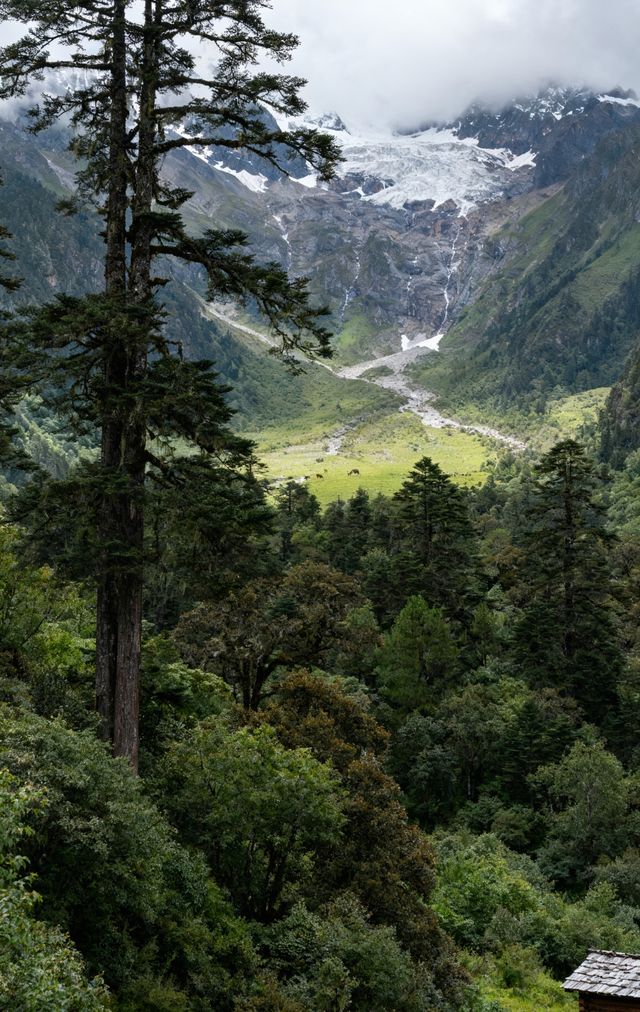 橫斷山脈秘境探奇