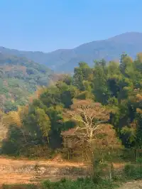 看見一片湖，誤闖入人間仙境！