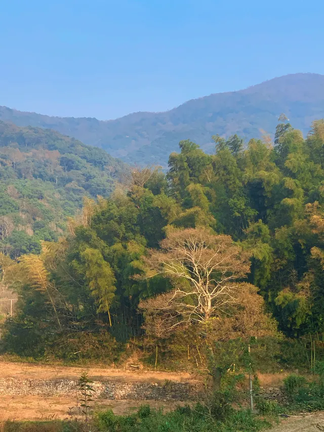 看見一片湖，誤闖入人間仙境！