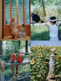 杭州灣2天1夜親子遊攻略｜濕地公園+凱悅酒店的神仙組合！