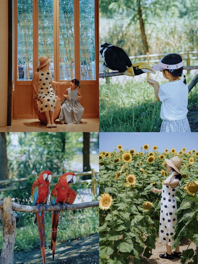 杭州灣2天1夜親子遊攻略｜濕地公園+凱悅酒店的神仙組合！