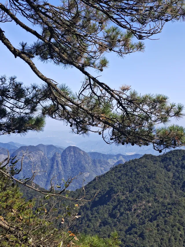三清山的淡季青綠，比五嶽更懂打工人的放空