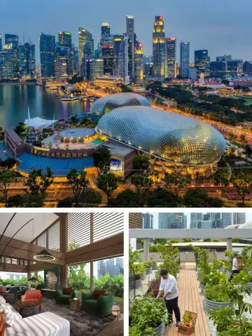 托表姐夫的福 帶我們一起去新加坡 入住這個高大上酒店 超激動